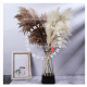 50PCS PAMPAS Dried Dry Preserved Artificial Flower Bouquet Plant Living Room Home Decor Decoration Bunga Hiasan Rumah