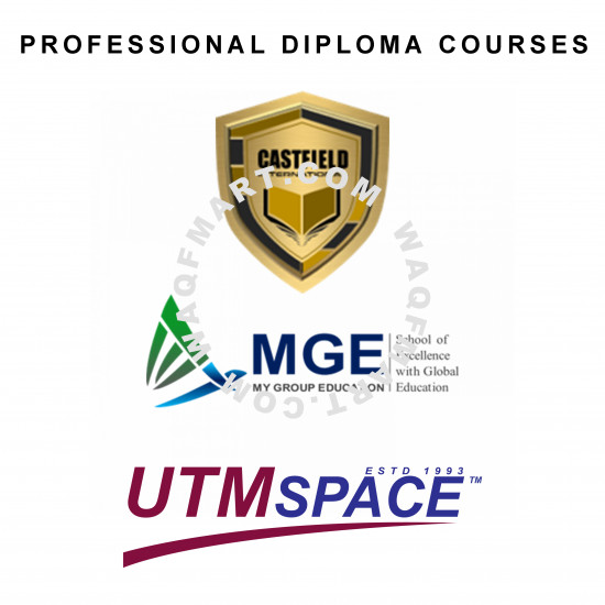 Professional Diploma in AI Multimedia and Programming